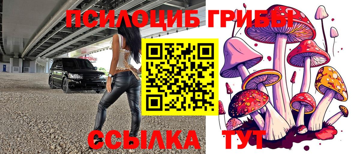 Псилоцибиновые грибы MAGIC MUSHROOMS  Вход с VPN  Псилоцибиновые грибы прущие грибы  Лыткарино 