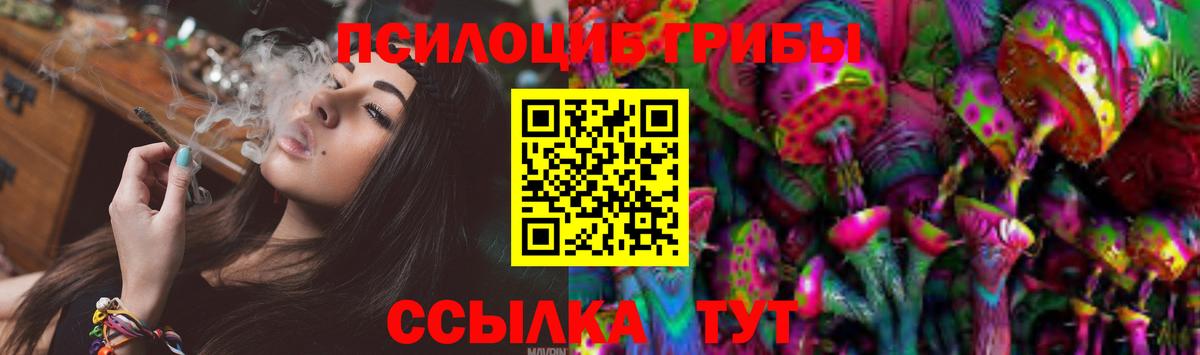 Псилоцибиновые грибы Cubensis Лыткарино